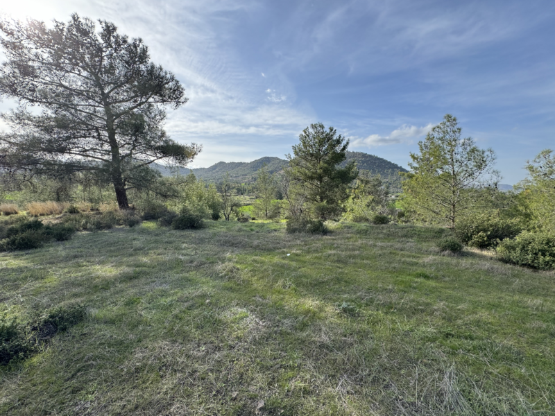 Large Land For Sale in Klirou in Beautiful Area