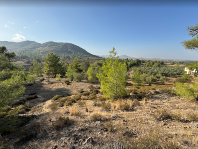 Large Land For Sale in Klirou in Beautiful Area