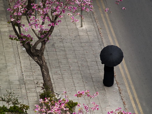 Springtime view in Limassol, Cyprus