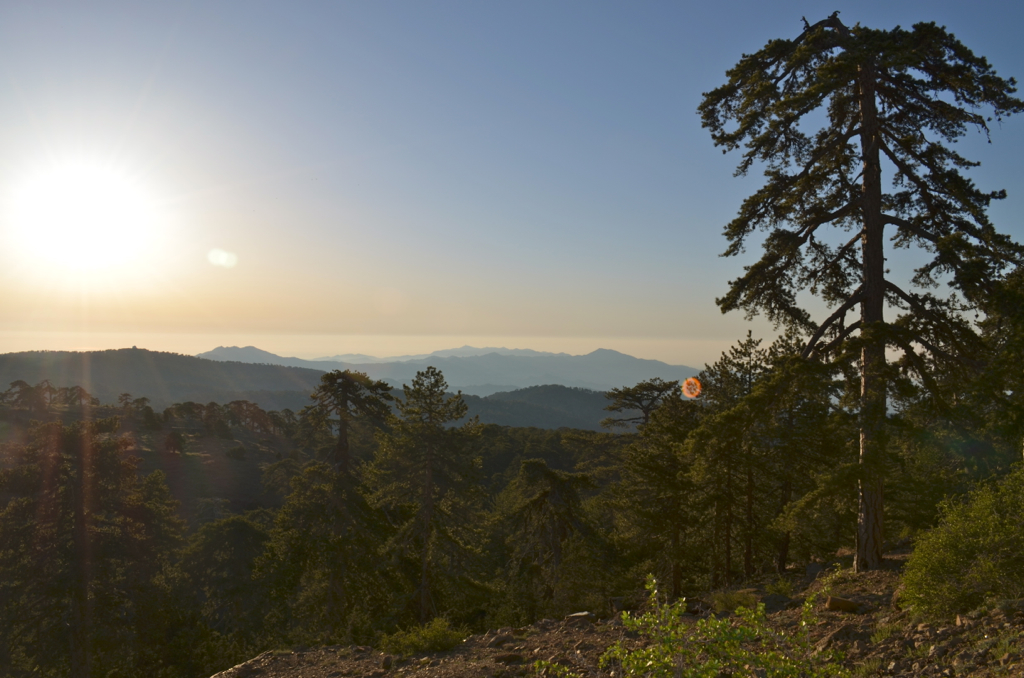 Early morning light over Mount Olympus in the Troodos Mountains, Cyprus