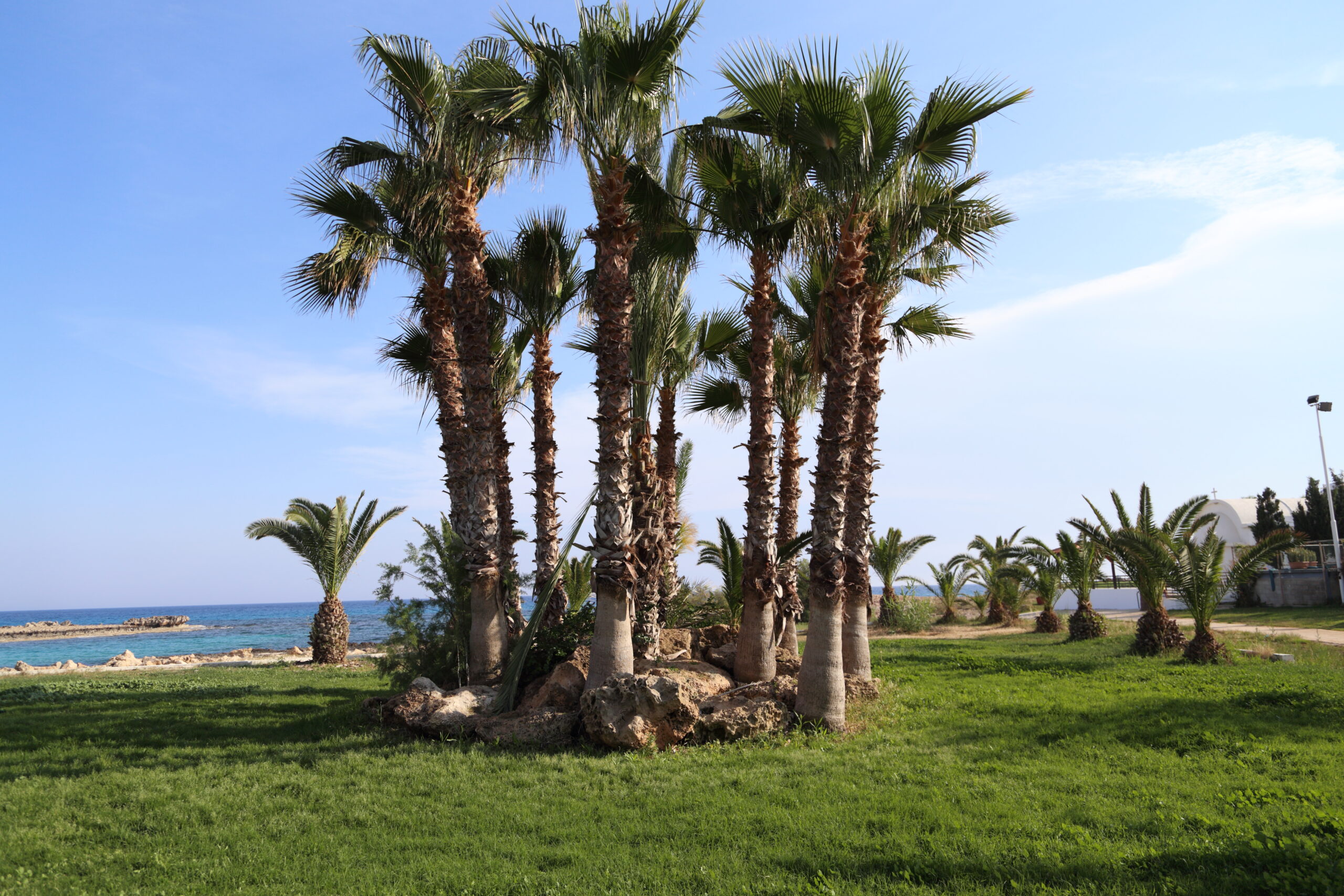 Nissi Beach in Ayia Napa, Cyprus, with white sand and shallow turquoise water