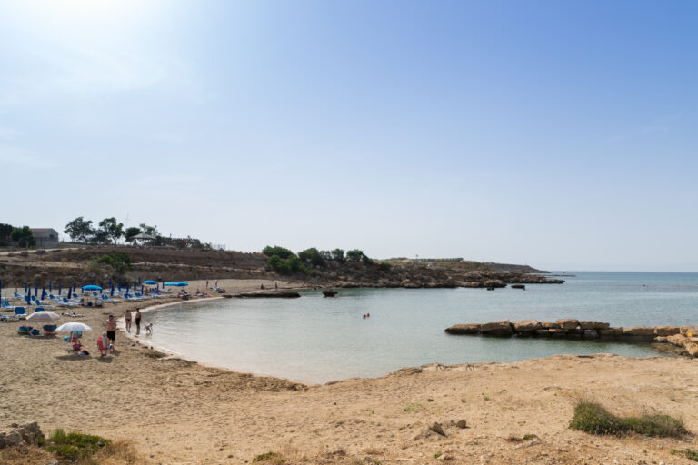 Dog-friendly beach on the Cyprus coast seen from above